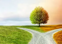 Which Path Shall We Take?