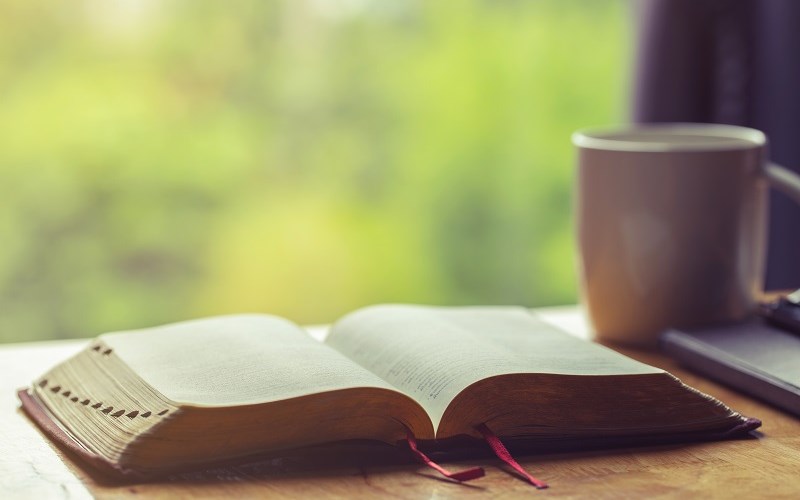 AFA.net - Small Steps Daily Devotions for Nov. 21 - Vimarsana News