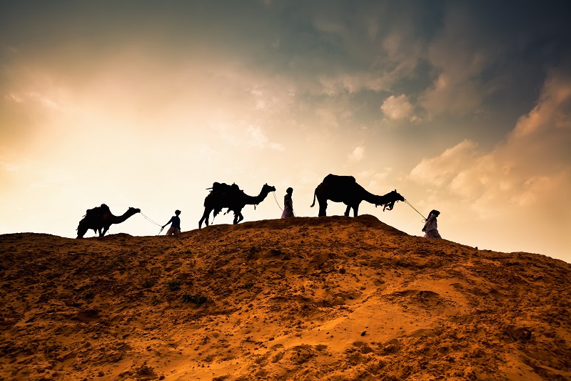 Walking in the Wisdom of the Wise Men