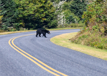 Around the Bend