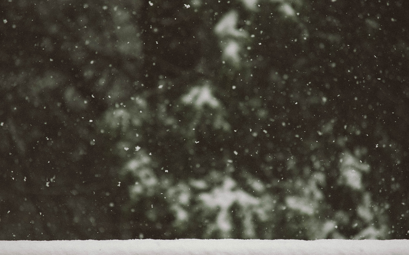 The Intentional Christmas