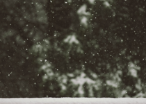 The Intentional Christmas