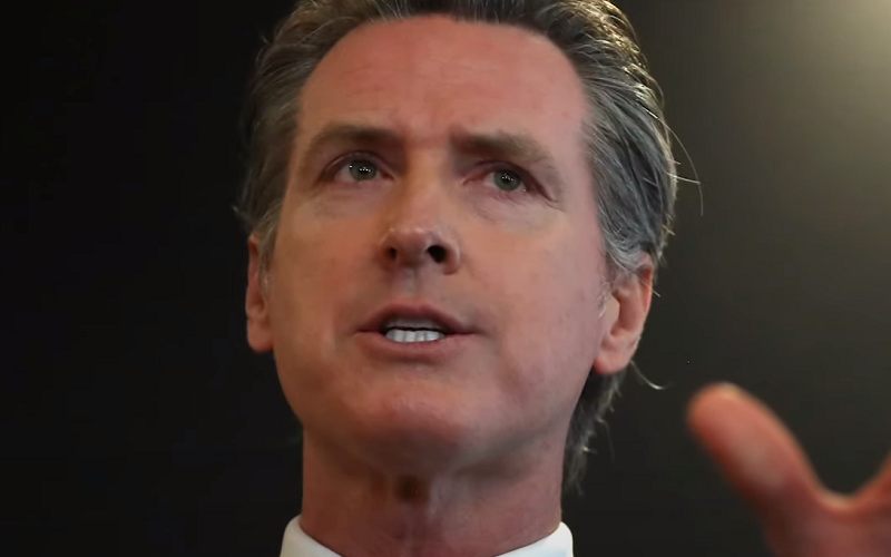 Gov. Newsom Recall Effort and Other Citizen Initiatives