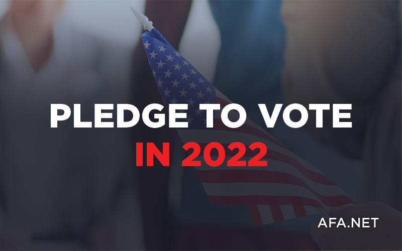 Pledge to vote in the 2022 midterm election