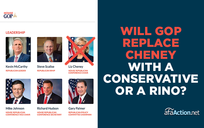 GOP House Members: Vote for Proven Conservative