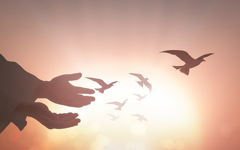 Worship and the Revolution of Righteousness