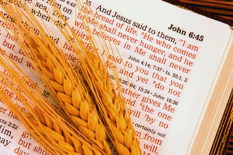 Just A Reminder, Thanksgiving Comes From the Lord