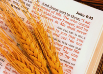 Just A Reminder, Thanksgiving Comes From the Lord