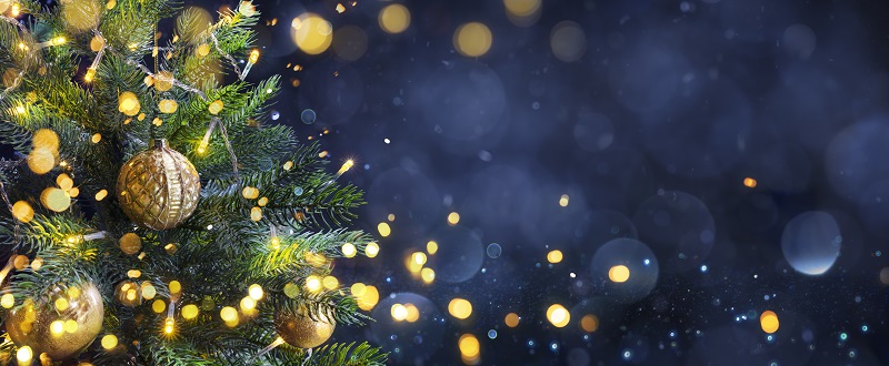 The Light on the Tree