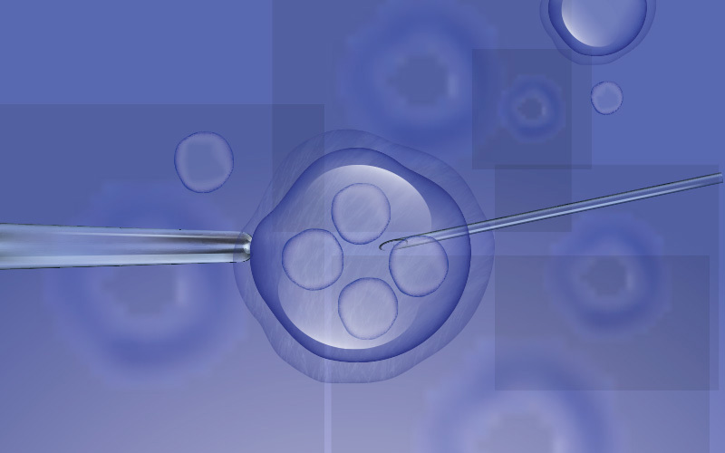 A Prayer for Those Struggling With Infertility