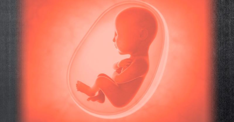 AFA.net - Death Culture in Senate Threatens the Unborn - Vimarsana News