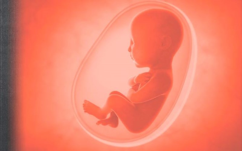 Death Culture in Senate Threatens the Unborn
