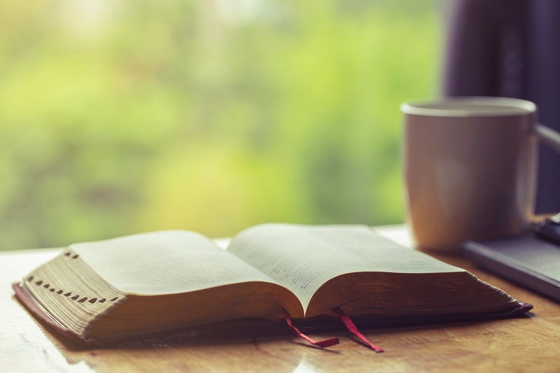 Small Steps Daily Devotions for March 14 - 20
