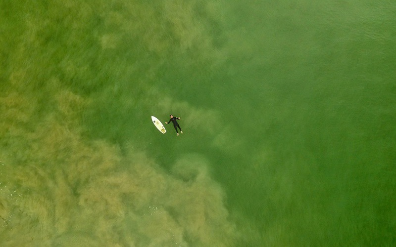 How to Stay Afloat in a Sea of Distractions