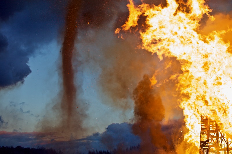 Plagues, Pestilence, Famine, and Fires
