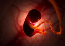 Should Abortion Be Permitted Under Any Circumstance?