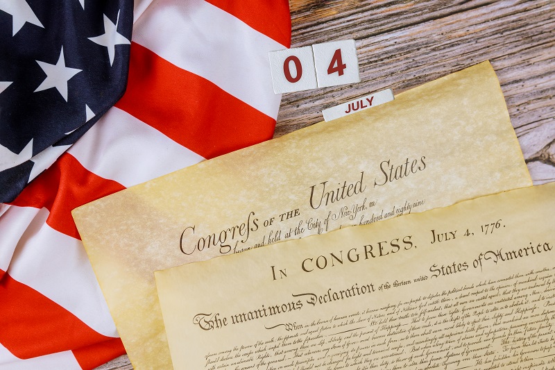 AFA.net - Celebrating America, Despite Our Divisions - Vimarsana News