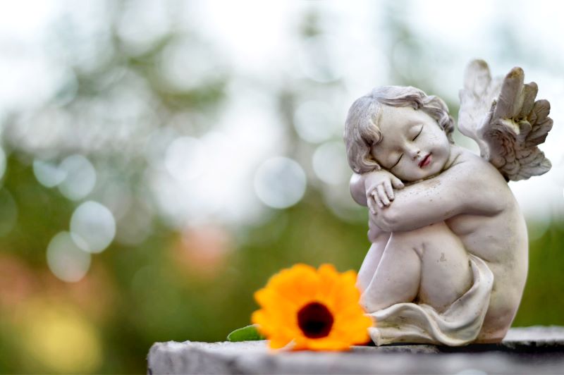 AFA.net - What It's Like to 'Give You Everything' - Vimarsana News