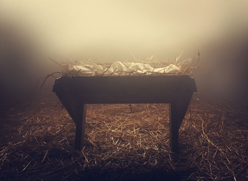 AFA.net - The Ultimate Christmas Miracle - Vimarsana News
