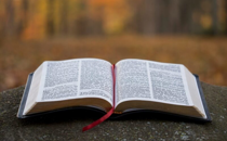 Is the Bible Completely Authentic?