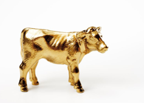 The Hidden Golden Calf