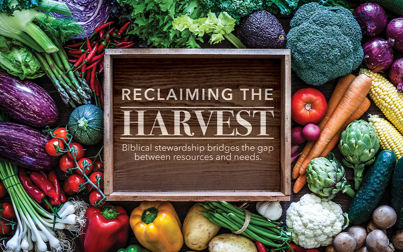 Reclaiming the harvest
