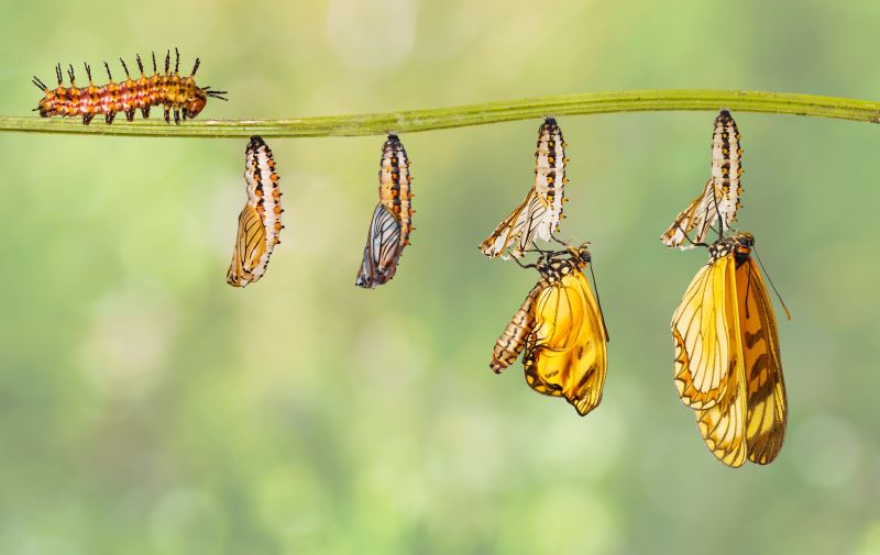 AFA.net - Don't Leave the Same Way You Came - Vimarsana News