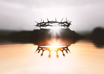 The Other Side of Christmas