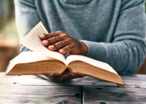 What Do You Want in a Study Bible?