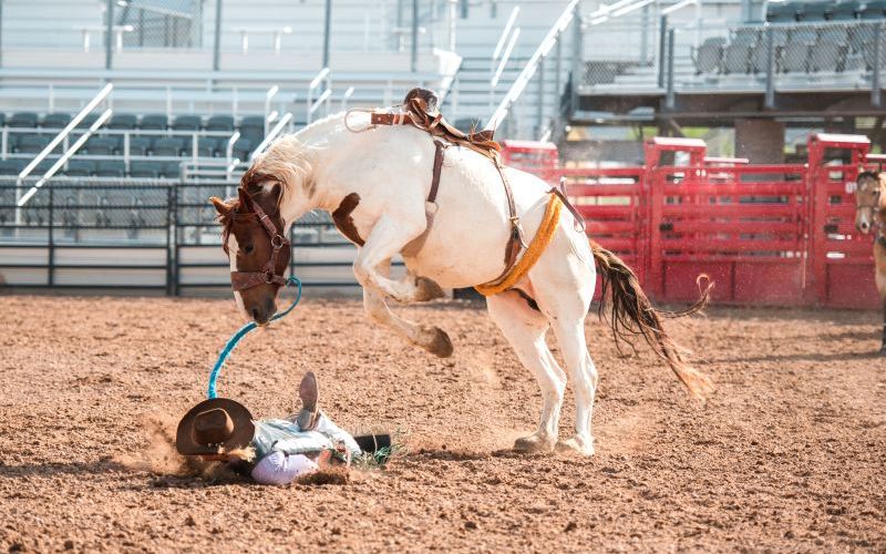 Word Wrangling: The Preachers' Rodeo Event