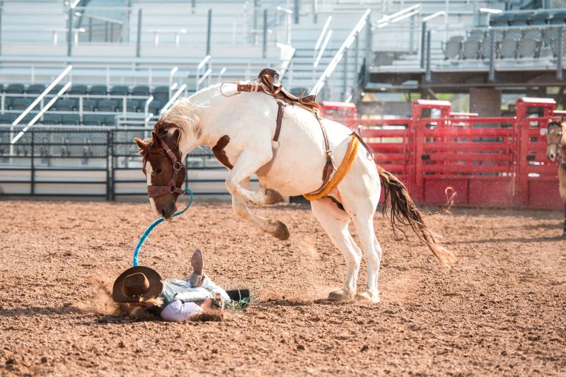 Word Wrangling: The Preachers' Rodeo Event