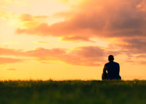 The Promise of Restoration