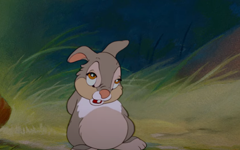 Who Rabbit Cartoon AFA.net - Wisdom from a Cartoon Rabbit