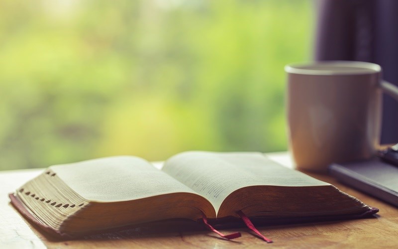 Small Steps Daily Devotions for Jan. 16 - 22