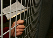 Remembering the Persecuted