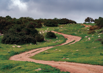 The road beyond Resurrection