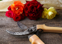 The Refiner’s Fire, Divine Pruning, and the Prayer Movement