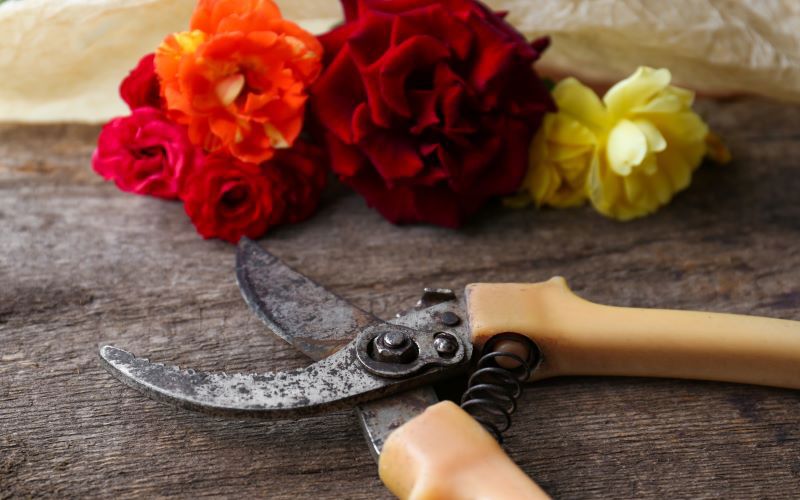 The Refiner’s Fire, Divine Pruning, and the Prayer Movement