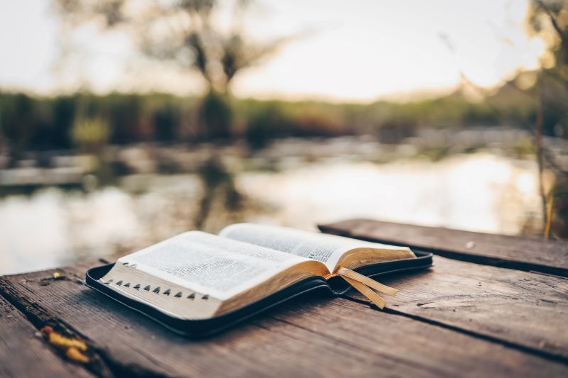 Three Environments Where God Grows