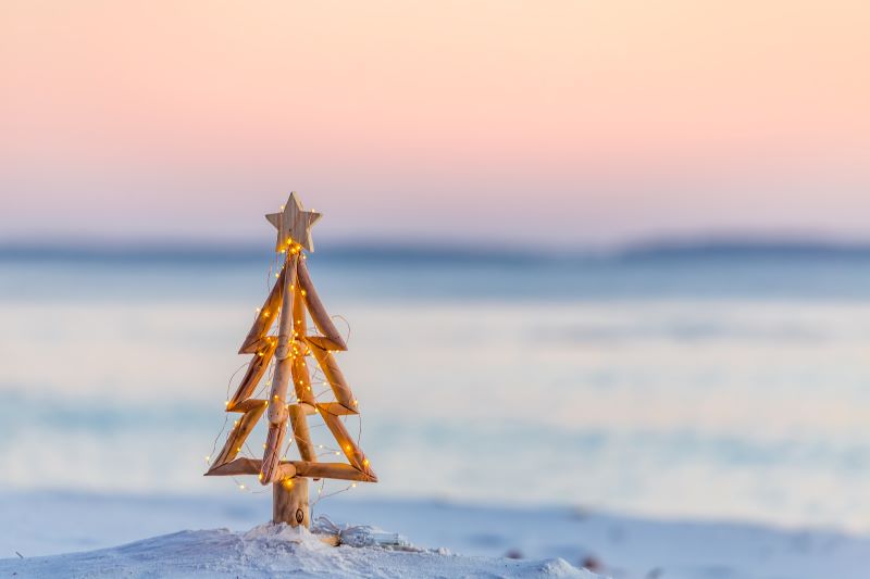 AFA.net - A Psalm 23 Christmas - Vimarsana News