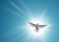Jesus, the Christian, and the Holy Spirit