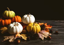 A Time for Thanksgiving