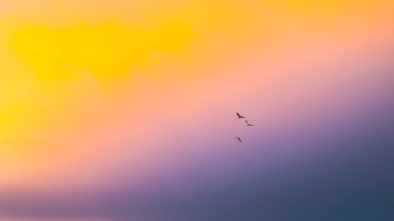 Living in the Reality of the Unseen