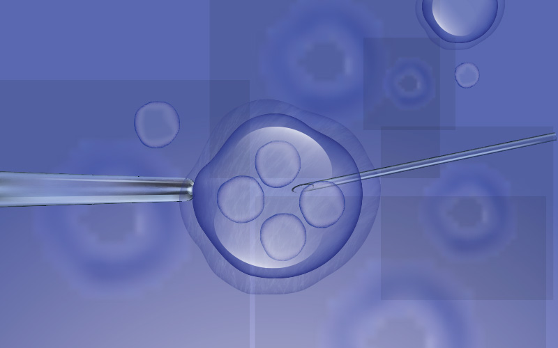A prayer for those struggling with infertility