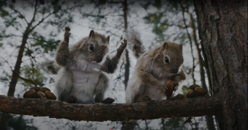 Urge Nature Valley to Cancel Its Inappropriate Ad