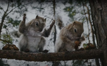 Urge Nature Valley to Cancel Its Inappropriate Ad