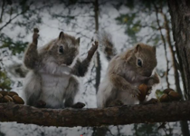 Urge Nature Valley to Cancel Its Inappropriate Ad
