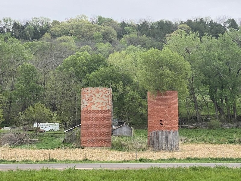 That One Tree