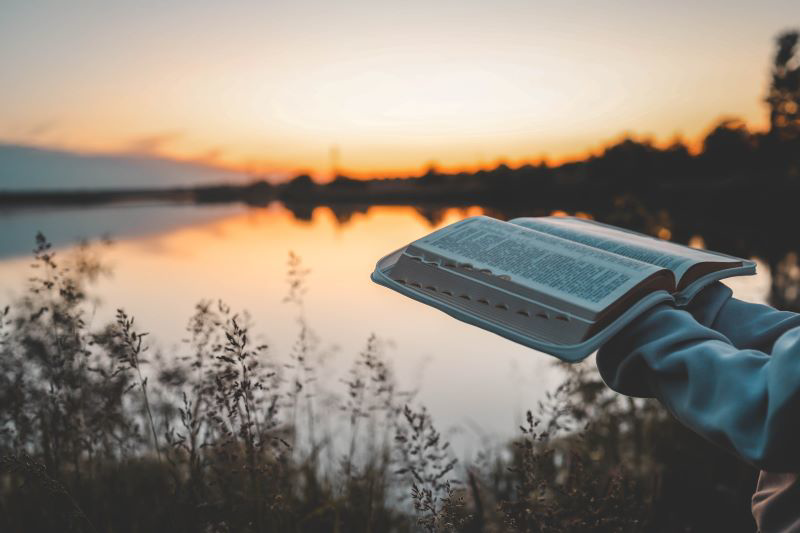 Surrendered Desires: Finding Peace in God's Plan