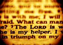 The Day of Salvation